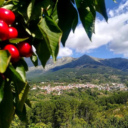 Albareilla By #Cherrygredos El Arenal  Eksteriør billede