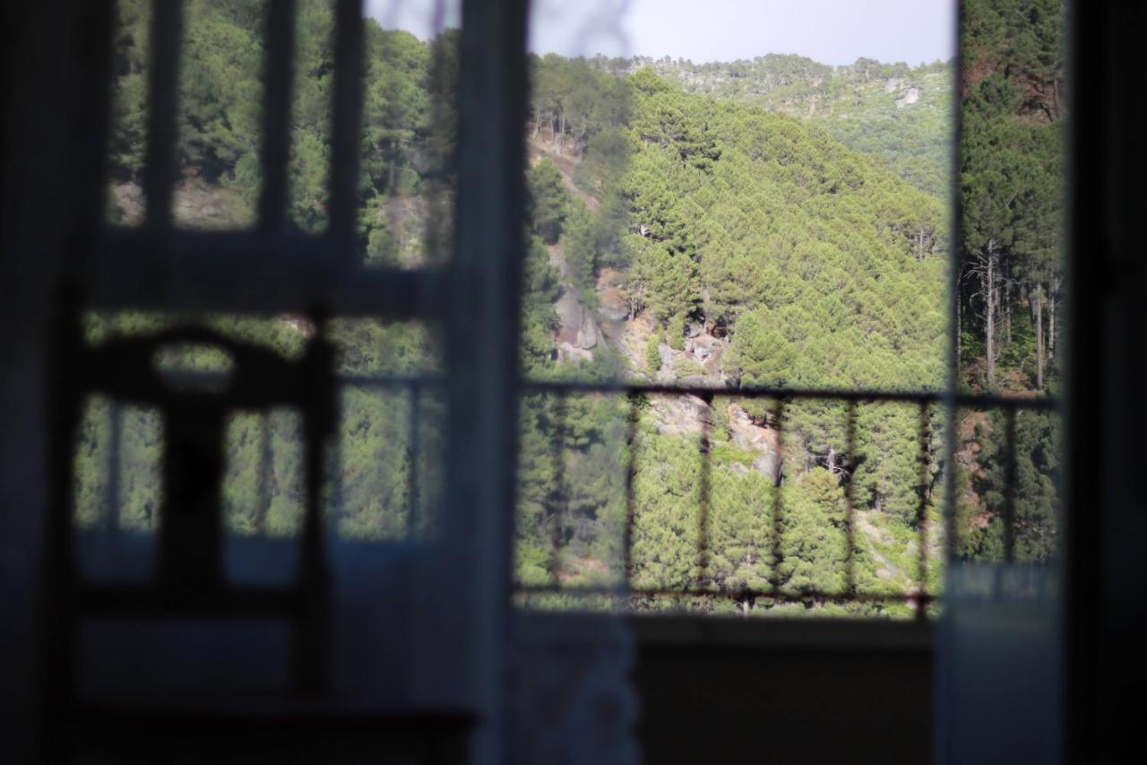 Albareilla By #Cherrygredos El Arenal  Eksteriør billede