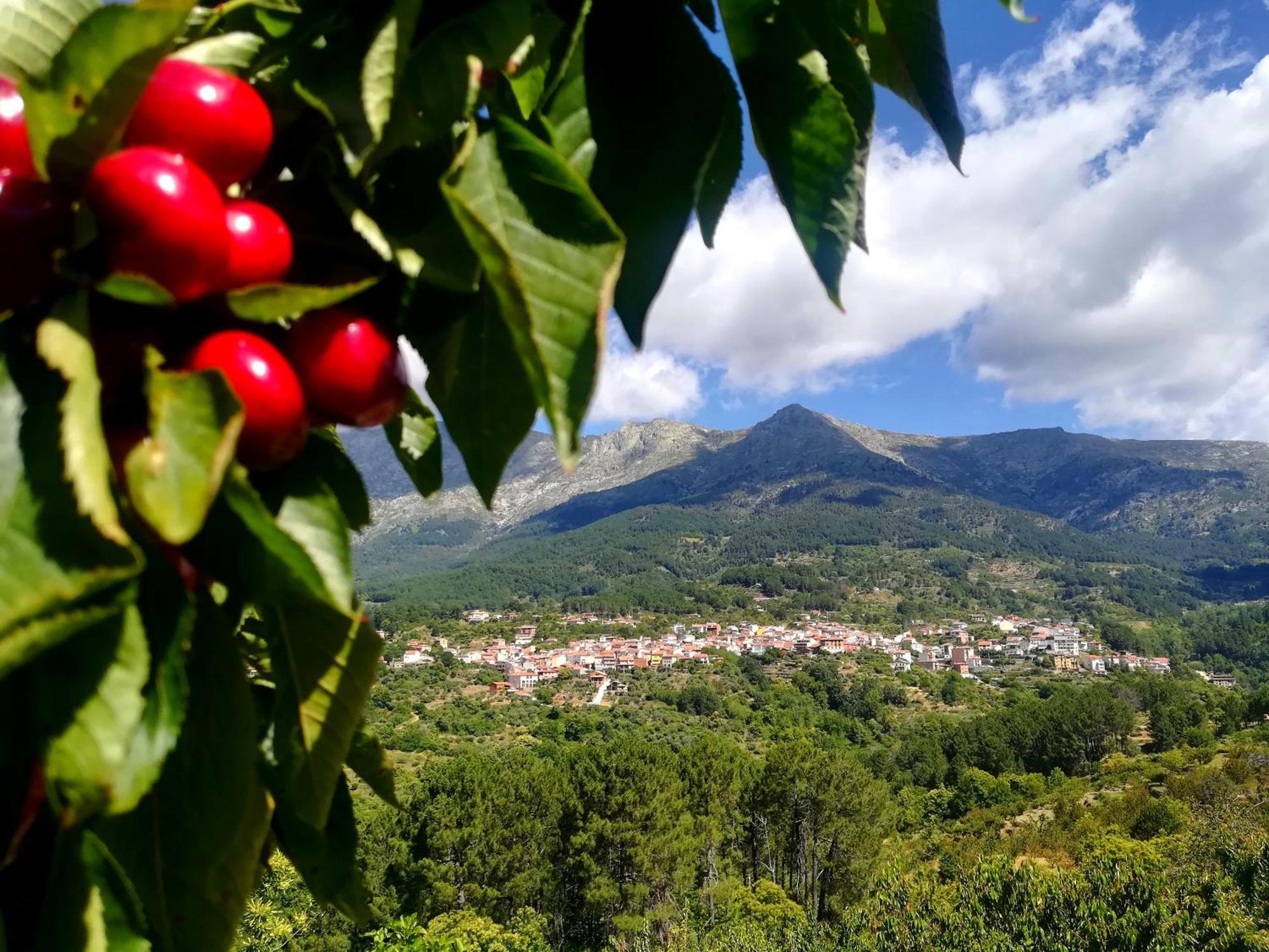Albareilla By #Cherrygredos El Arenal  Eksteriør billede