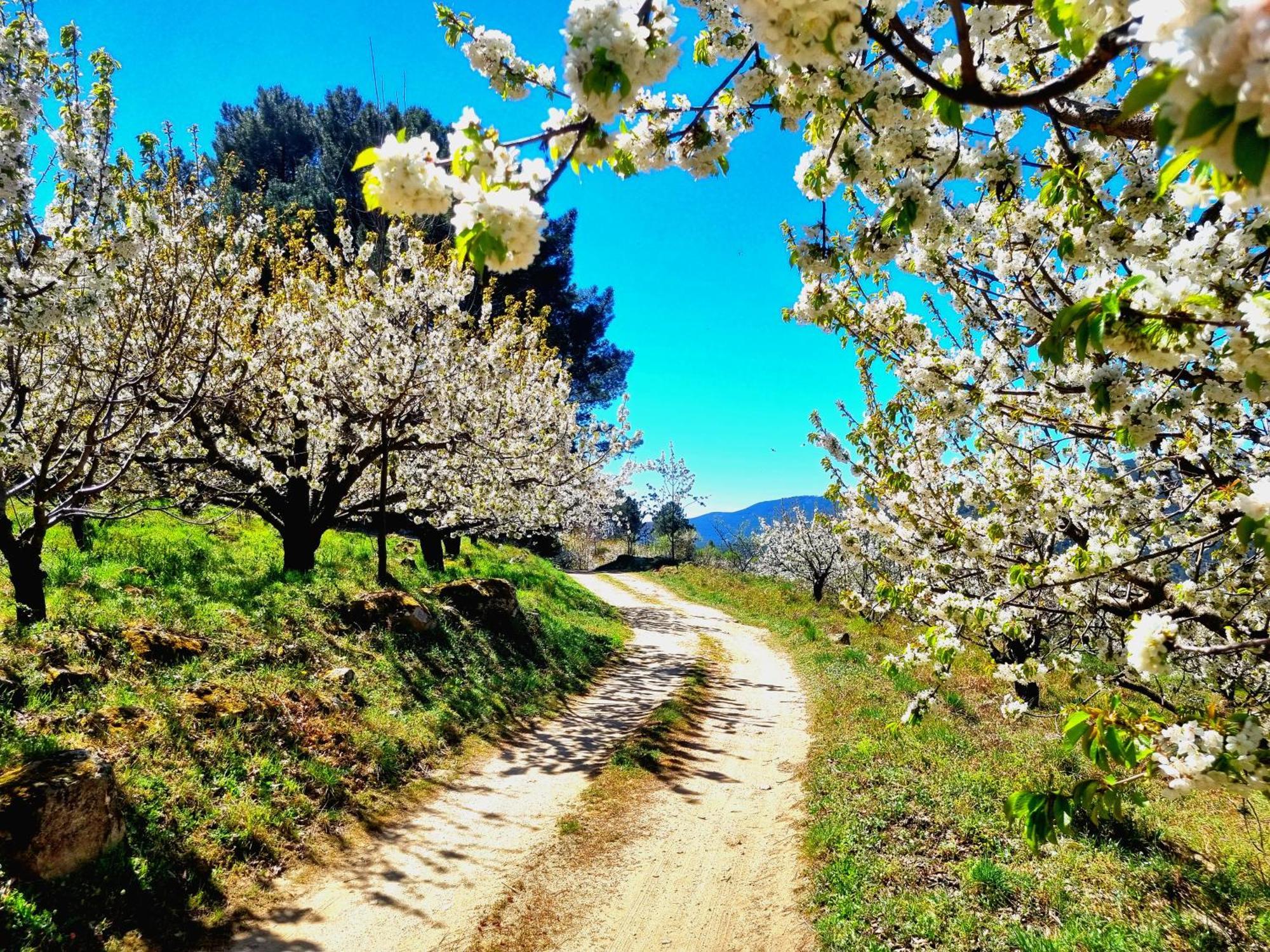 Albareilla By #Cherrygredos El Arenal  Eksteriør billede
