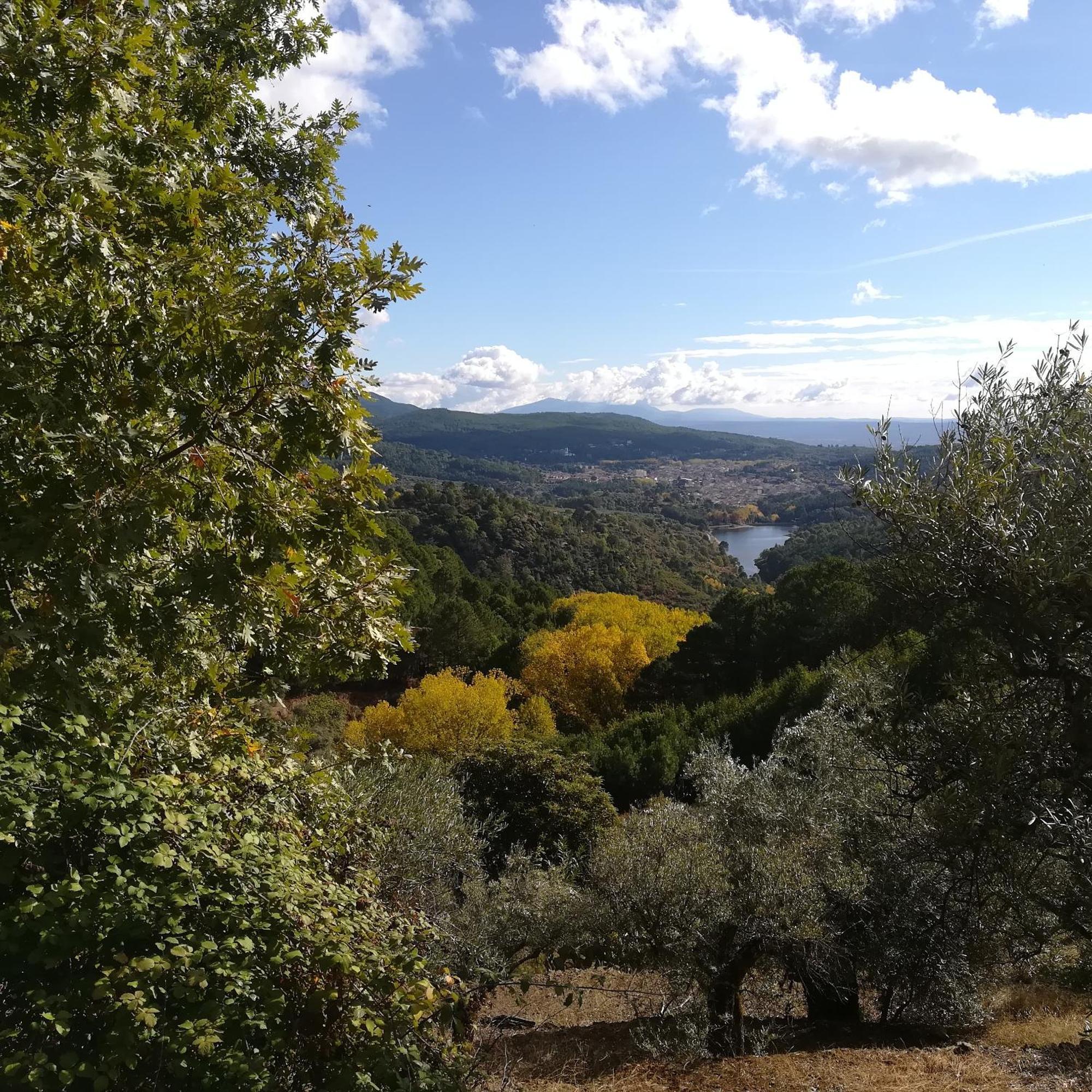Albareilla By #Cherrygredos El Arenal  Eksteriør billede