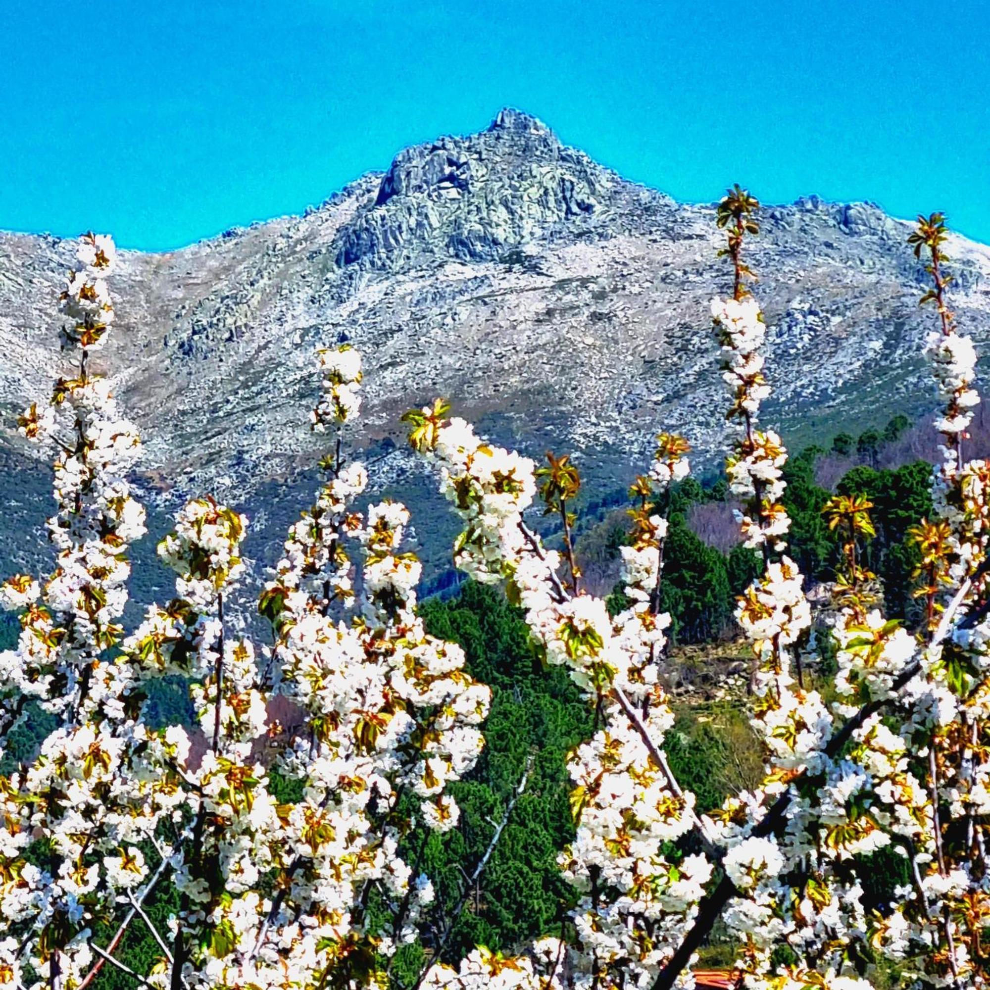Albareilla By #Cherrygredos El Arenal  Eksteriør billede