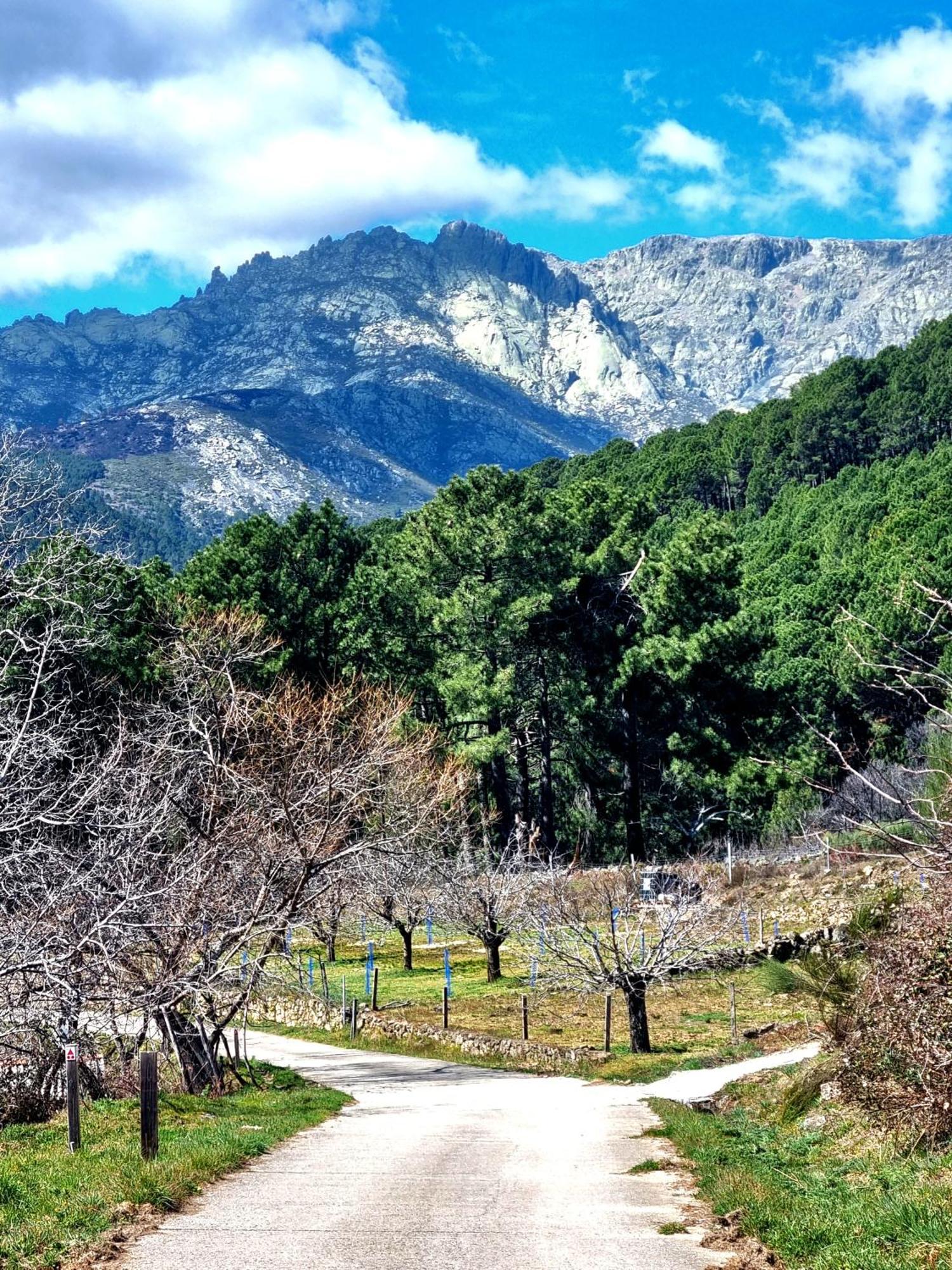 Albareilla By #Cherrygredos El Arenal  Eksteriør billede