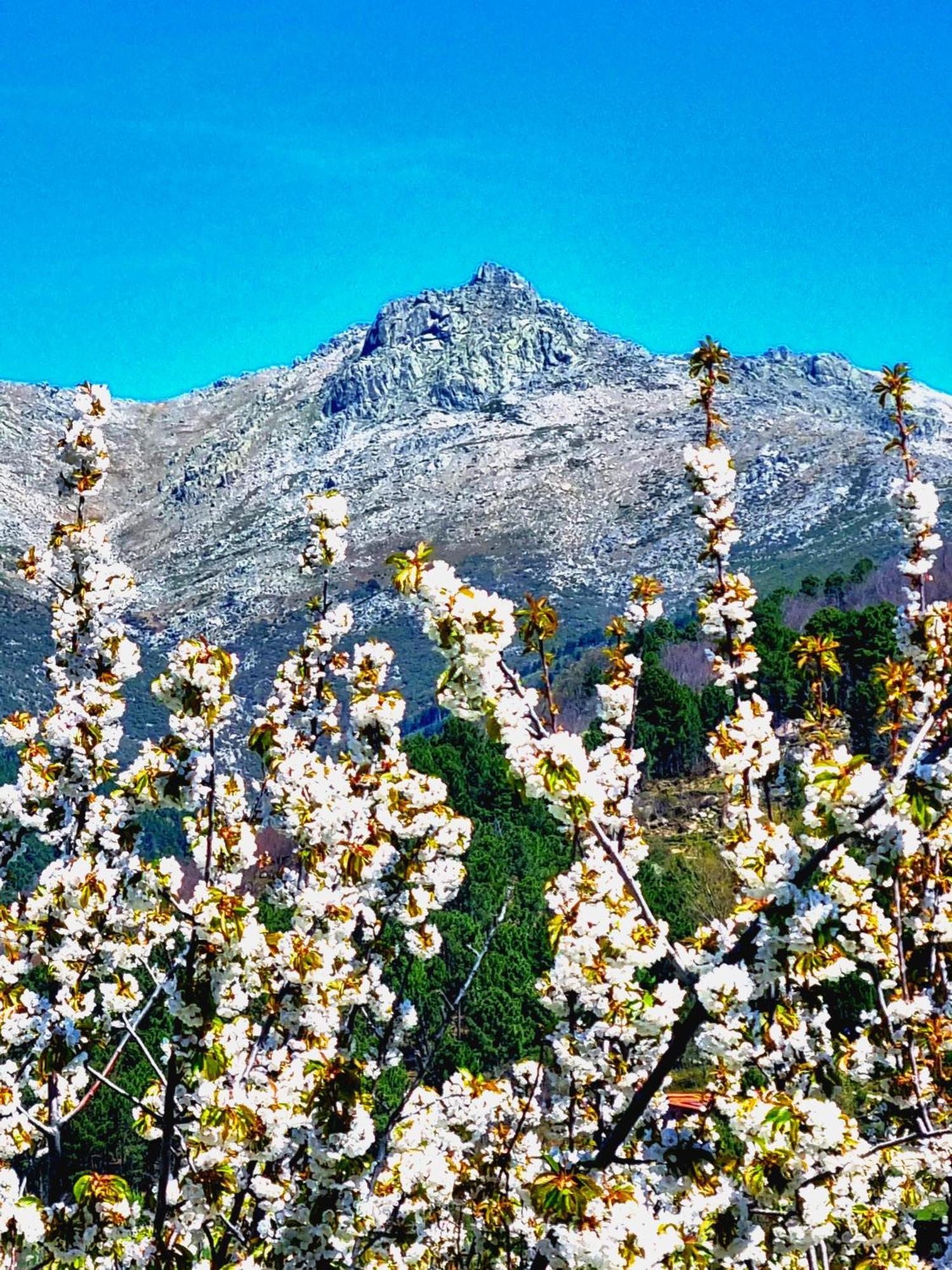 Albareilla By #Cherrygredos El Arenal  Eksteriør billede