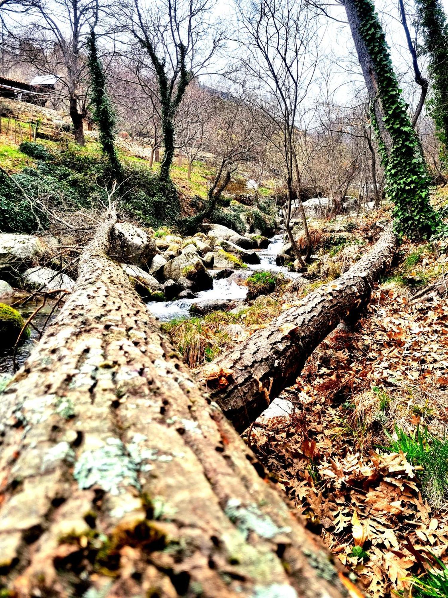 Albareilla By #Cherrygredos El Arenal  Eksteriør billede