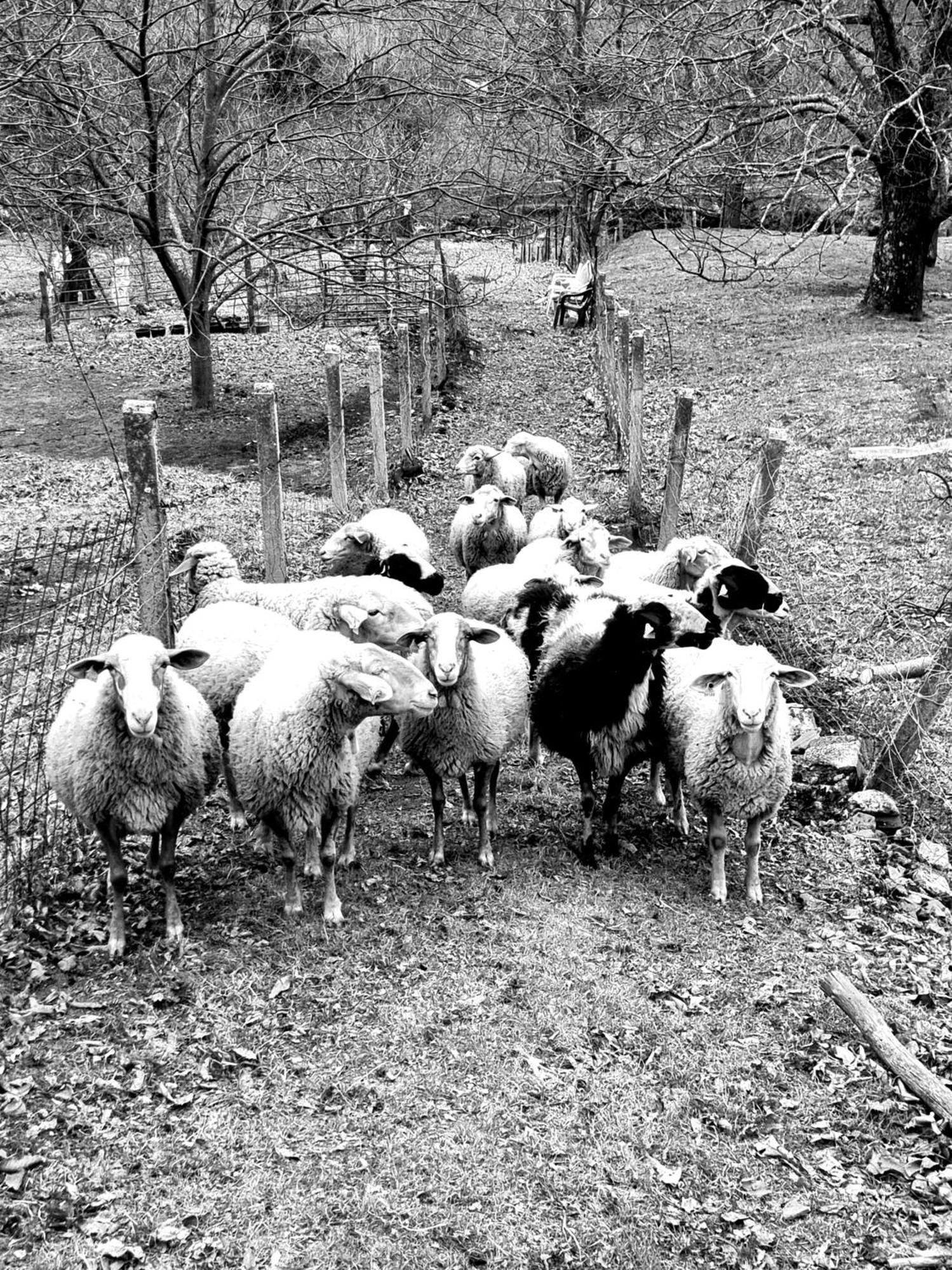 Albareilla By #Cherrygredos El Arenal  Eksteriør billede