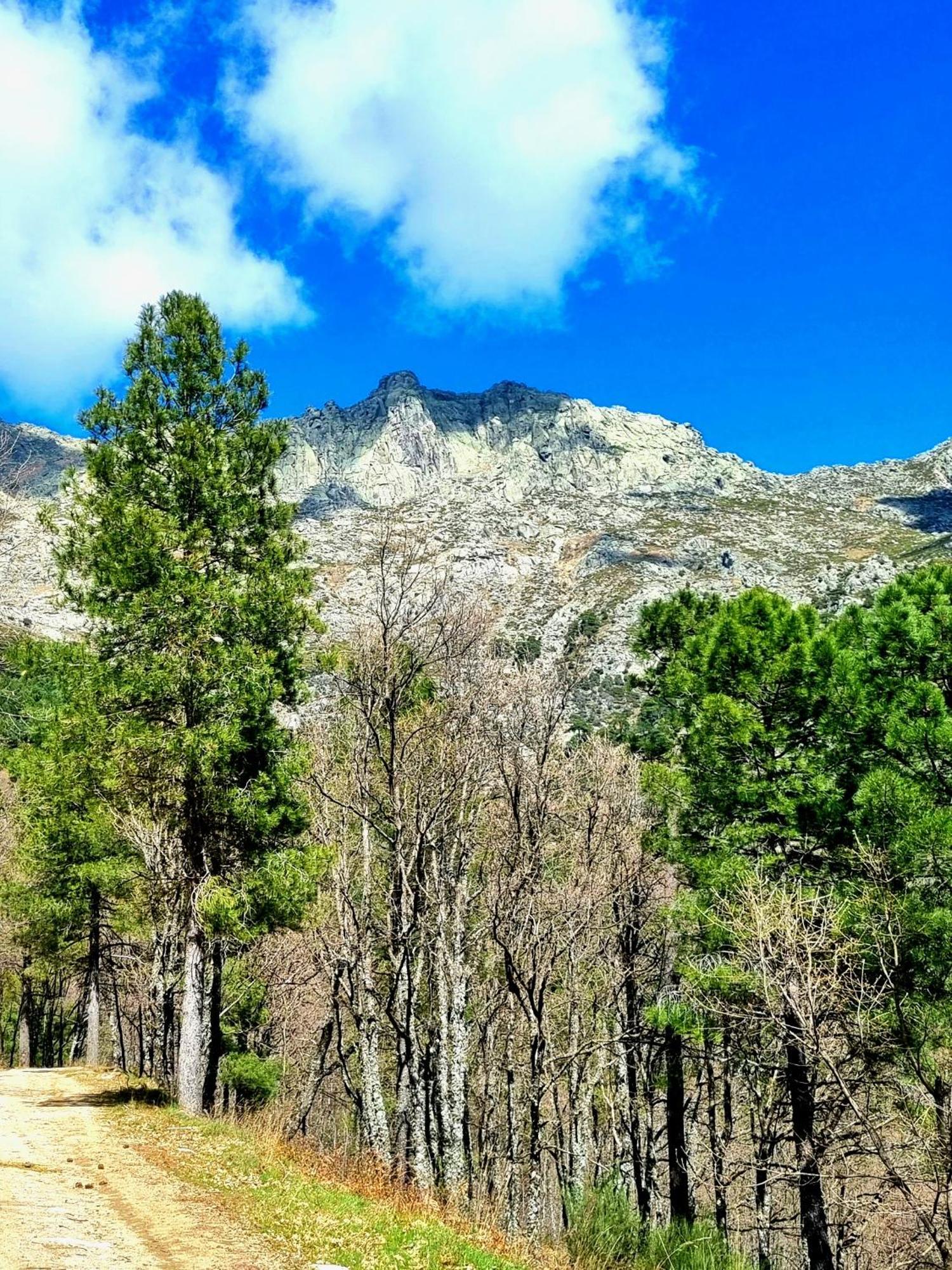 Albareilla By #Cherrygredos El Arenal  Eksteriør billede